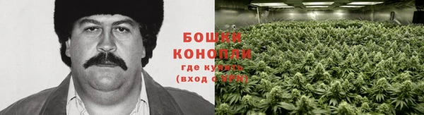 меф Бородино