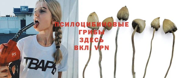 меф Бородино