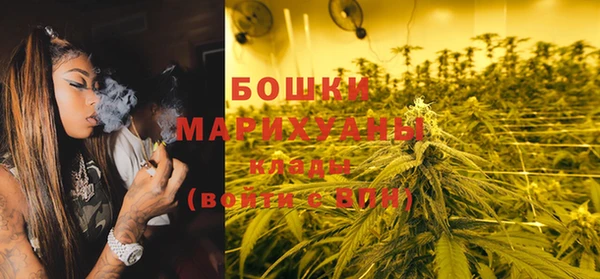 эйфоретик Богданович