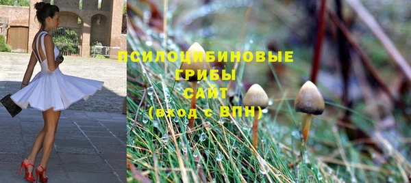 альфа пвп Бугульма