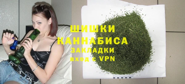 ешки Снежногорск